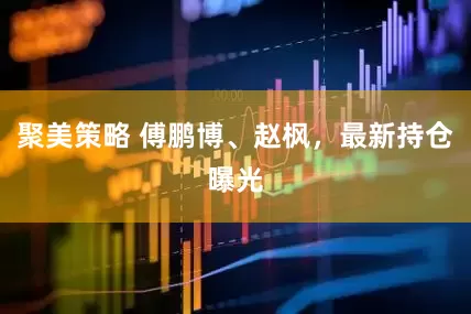 聚美策略 傅鹏博、赵枫，最新持仓曝光